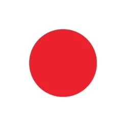 PIGMENT SILICONE ROUGE 100 GR