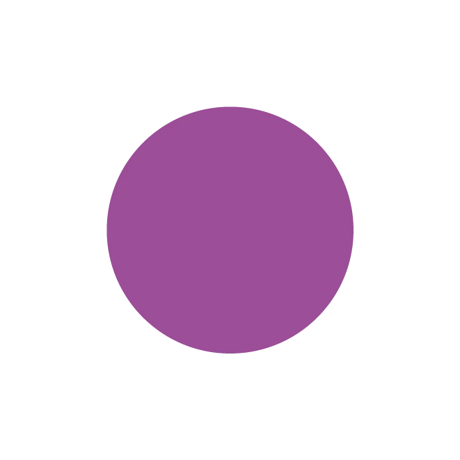 COLORANT VIOLET TRANSPARENT 25 ML 5 COLORANT VIOLET TRANSPARENT 25 ML – Image 3