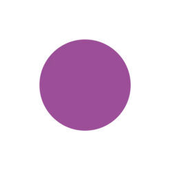 COLORANT VIOLET TRANSPARENT 25 ML